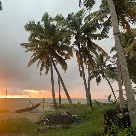 Shoreline Marari Beach Villa At Golden Beach Mararikulam Alappuzha Extérieur photo